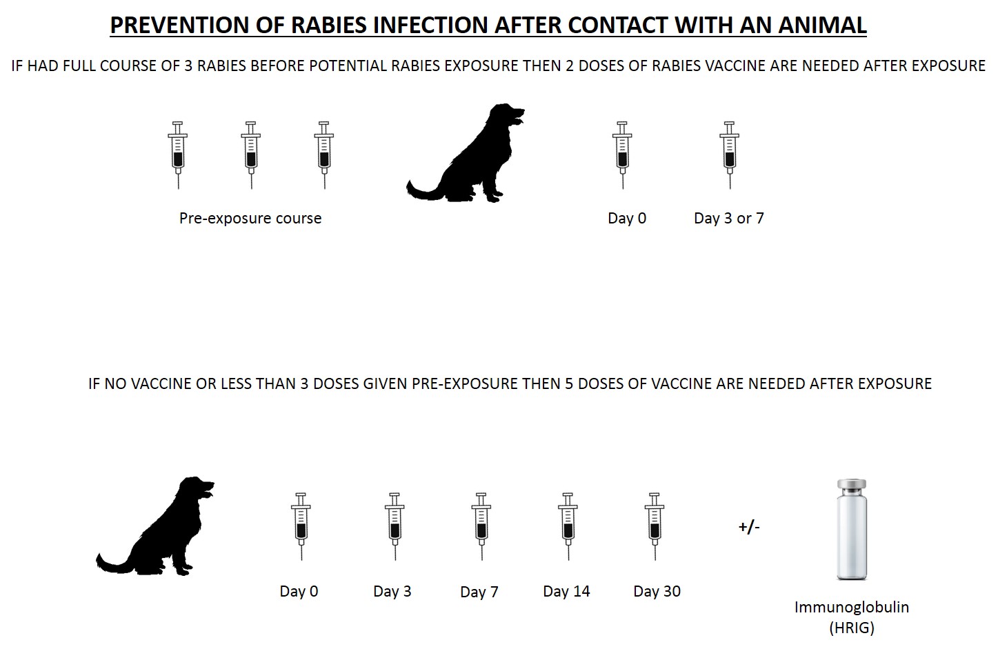 Rabies Pre Exposure Sussex Travel Clinic   Rabies Pre Exposure 